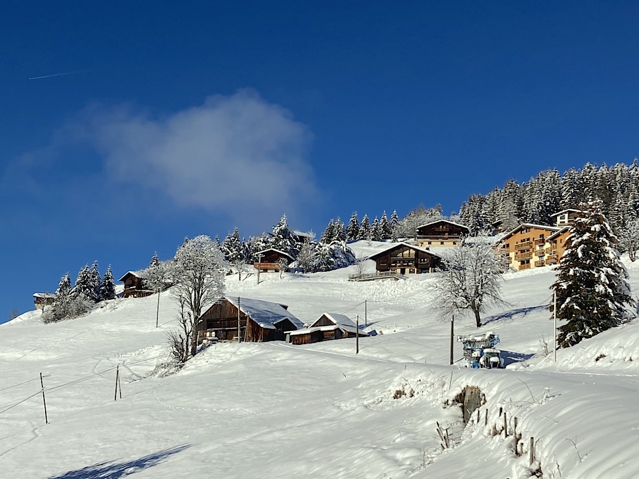 Environnement du Chalet Lachat