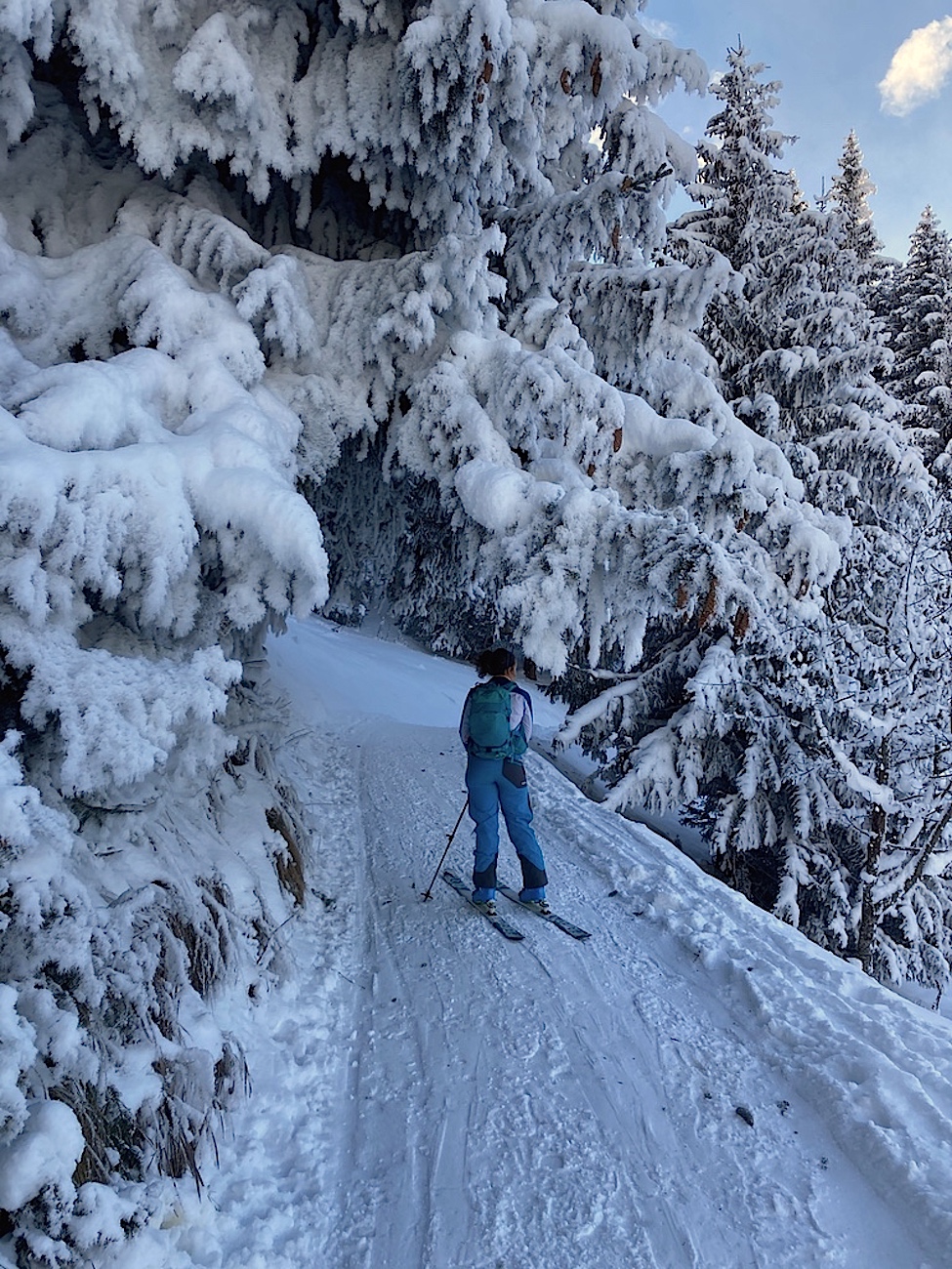 Ski de randonnée