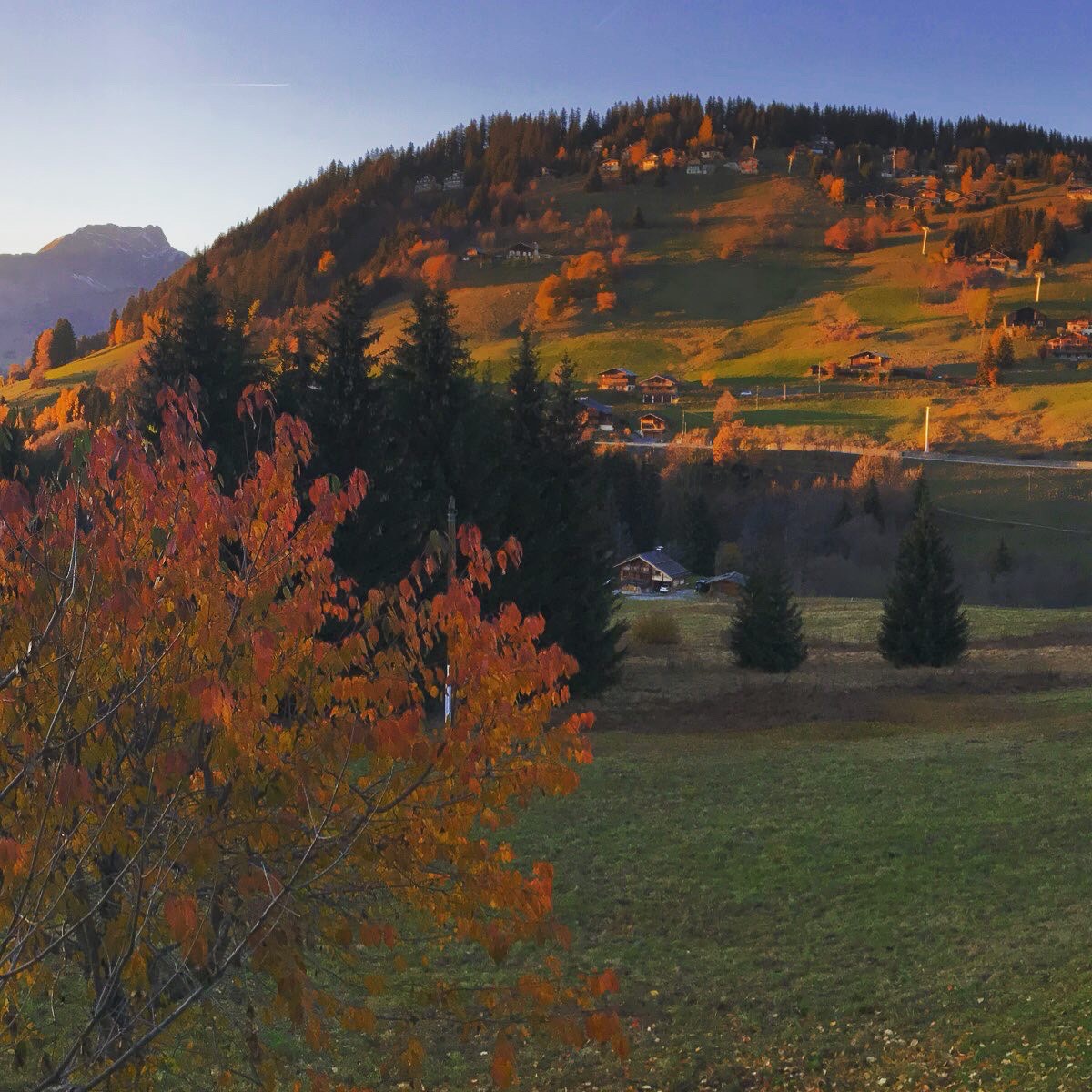Vue automne