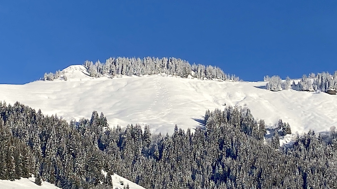 Le Crêt du Midi