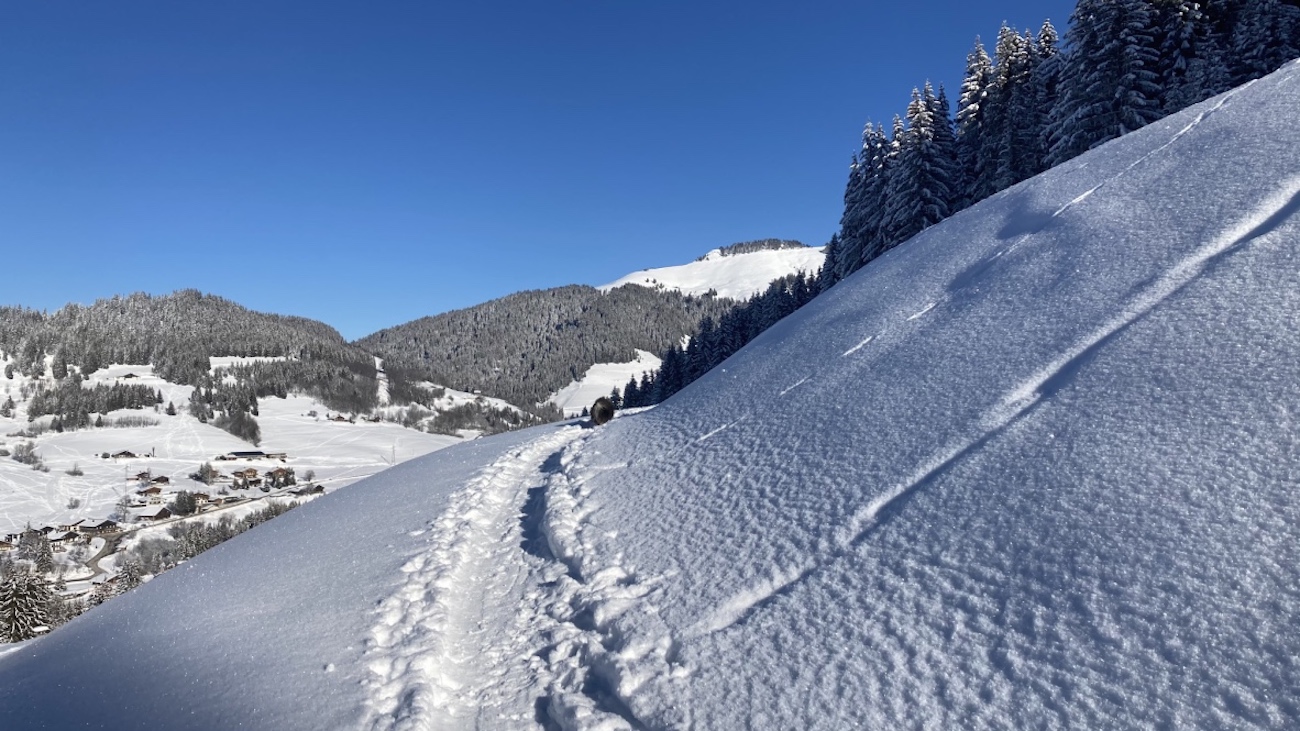 Ski de randonnée